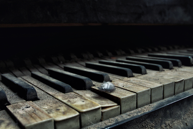 Etwas Poesie - Dieses Detail zeigt ein altes Klavier, auf einer Taste „schlummert“ eine Feder. Nicole Staniewski hat mit diesem Foto den Bildband „Beelitz Heilstätten“, die DVD-Trilogie „Geschichten hinter vergessenen Mauern“ und einen A3-Kalender gewonnen.