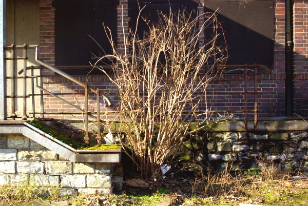 Gueterbahnhof_Guetersloh45