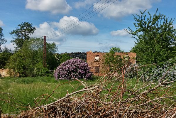 ruine-quedl-str-thale3