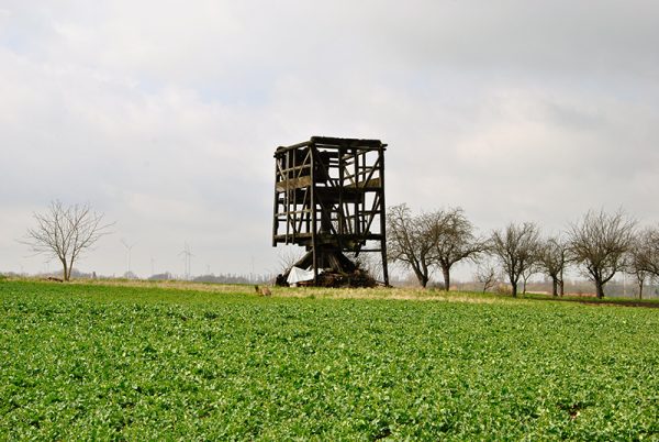 bockwindmuehle-dippelsdorf1