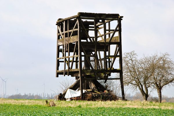 bockwindmuehle-dippelsdorf2